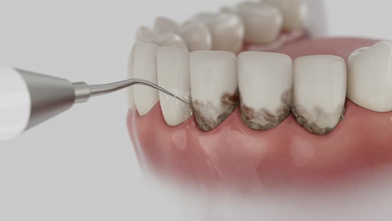 Reliable Dental contractor in Clinton, UT by Dentist Open Now